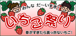 園芸・ガーデニング ビギナーさんに!いちごセット