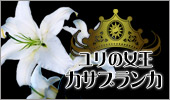 �S���̏��� �J�T�u�����J
