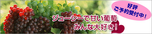 �W���[�V�[�ŊÂ������A���\���t���I