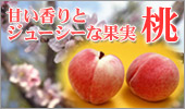 �Â�����ƃW���[�V�[�ȉʎ� ��