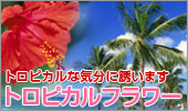 �g���s�J���t�����[