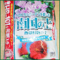 �썑�̓y