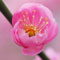�Ԕ~