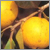 �C�G���[�X�g���x���[�O�A�o