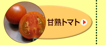 �L���[�m