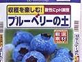 すべてのガーデニング、園芸用土・肥料・薬品