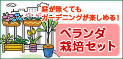 園芸・ガーデニング ビギナーさんに！ベランダ栽培セット