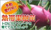 Ǯ�Ӳ̼��ġ�ͽ������桪
