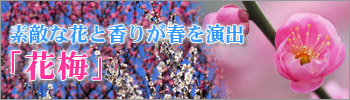 ��Ũ�ʲ֤ȹ�꤬�դ���