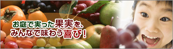 �����Ǽ¤ä��̼¤�ߤ�ʤ�̣�臘��ӡ�