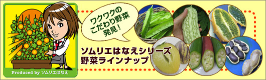 野菜苗