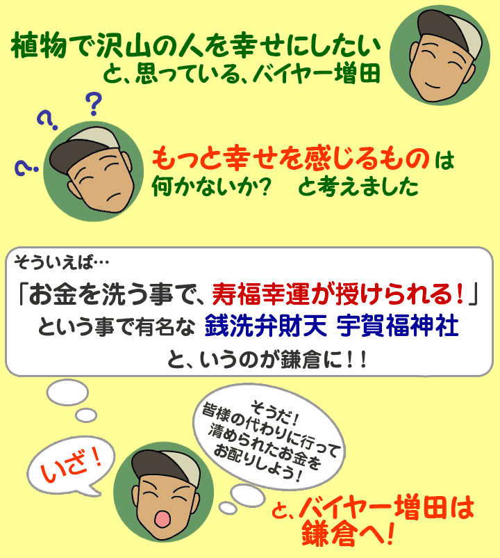 植物で沢山の人を幸せにしたいと思っている、バイヤー増田が閃いた！