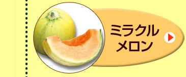 ミラクルメロン